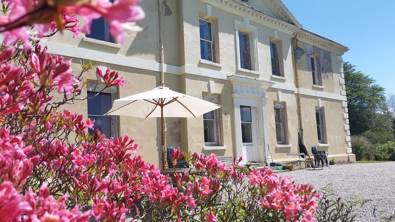 Kelly House Country B&B Lifton Экстерьер фото