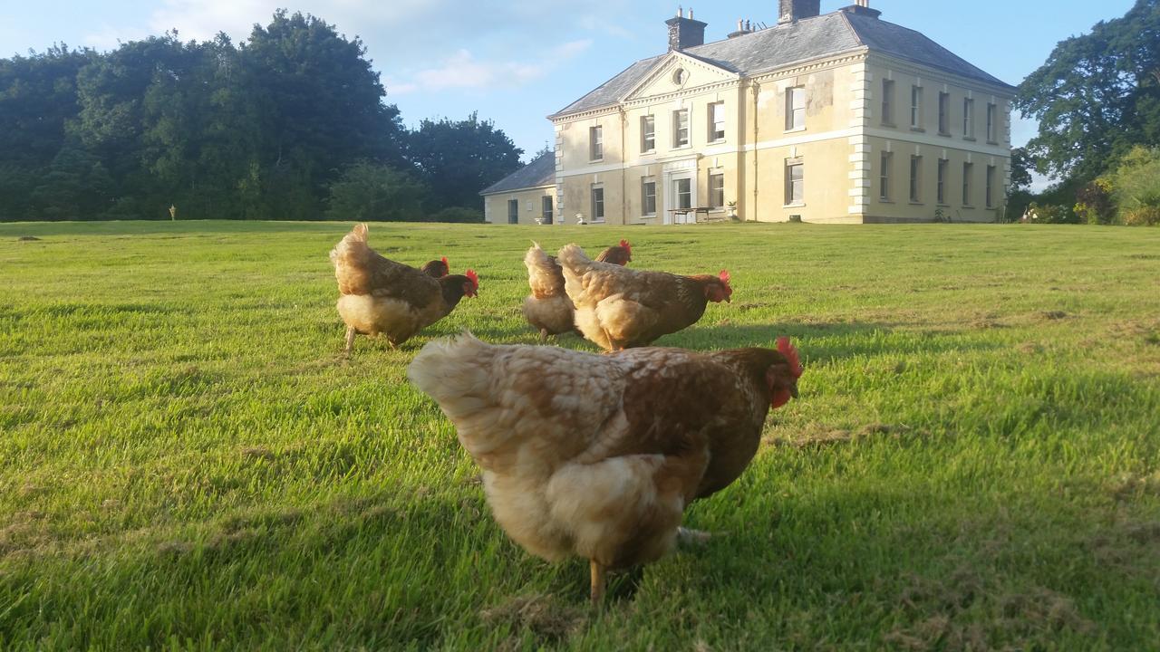 Kelly House Country B&B Lifton Экстерьер фото